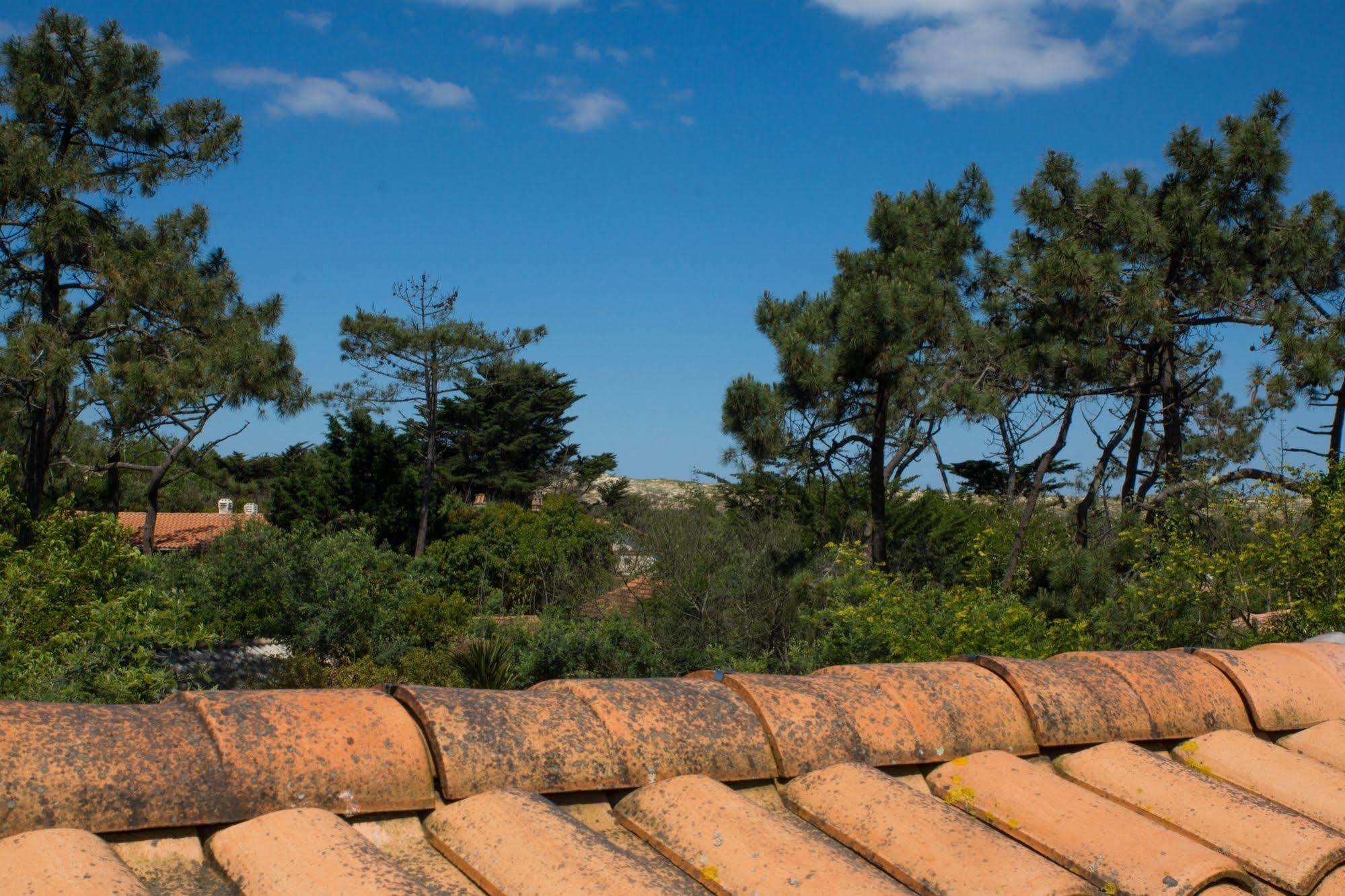 Le Lodge Du Cap Ferret Lège-Cap-Ferret Exterior foto